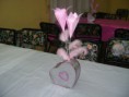 /album/fotogaleria/dsc02743-jpg/